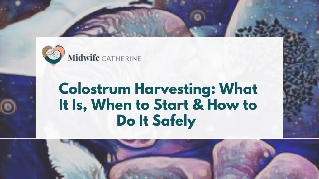 Expectant mother collecting colostrum under midwife guidance 36 weeks pregnancy