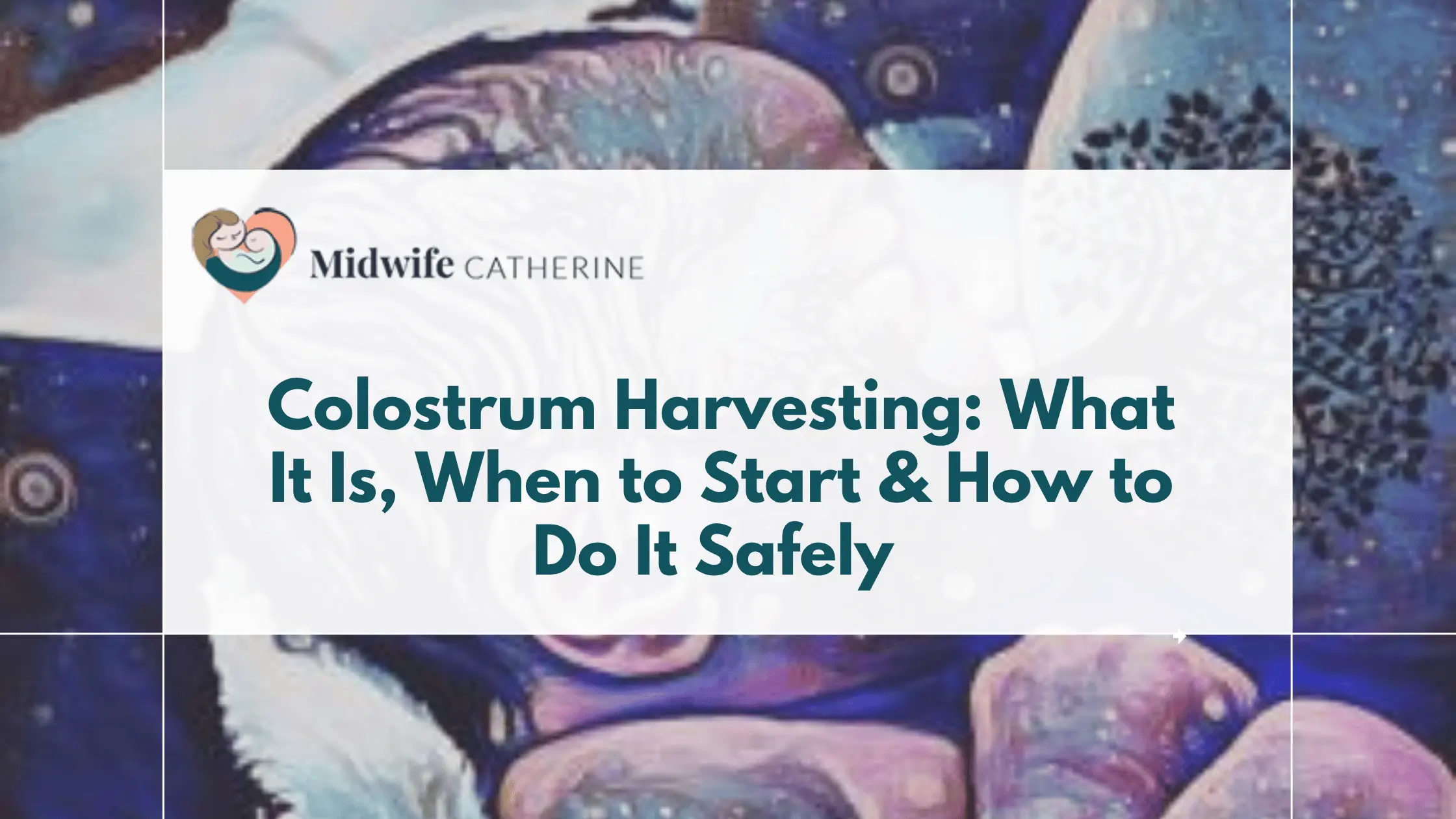 Expectant mother collecting colostrum under midwife guidance 36 weeks pregnancy